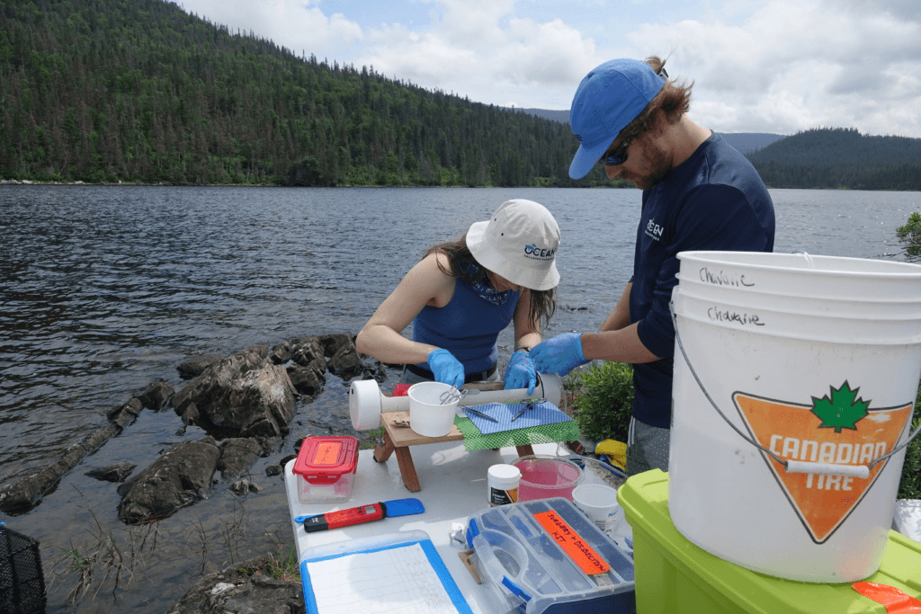 Tagging procedure of Brook Trout – Photo by: Leah Strople