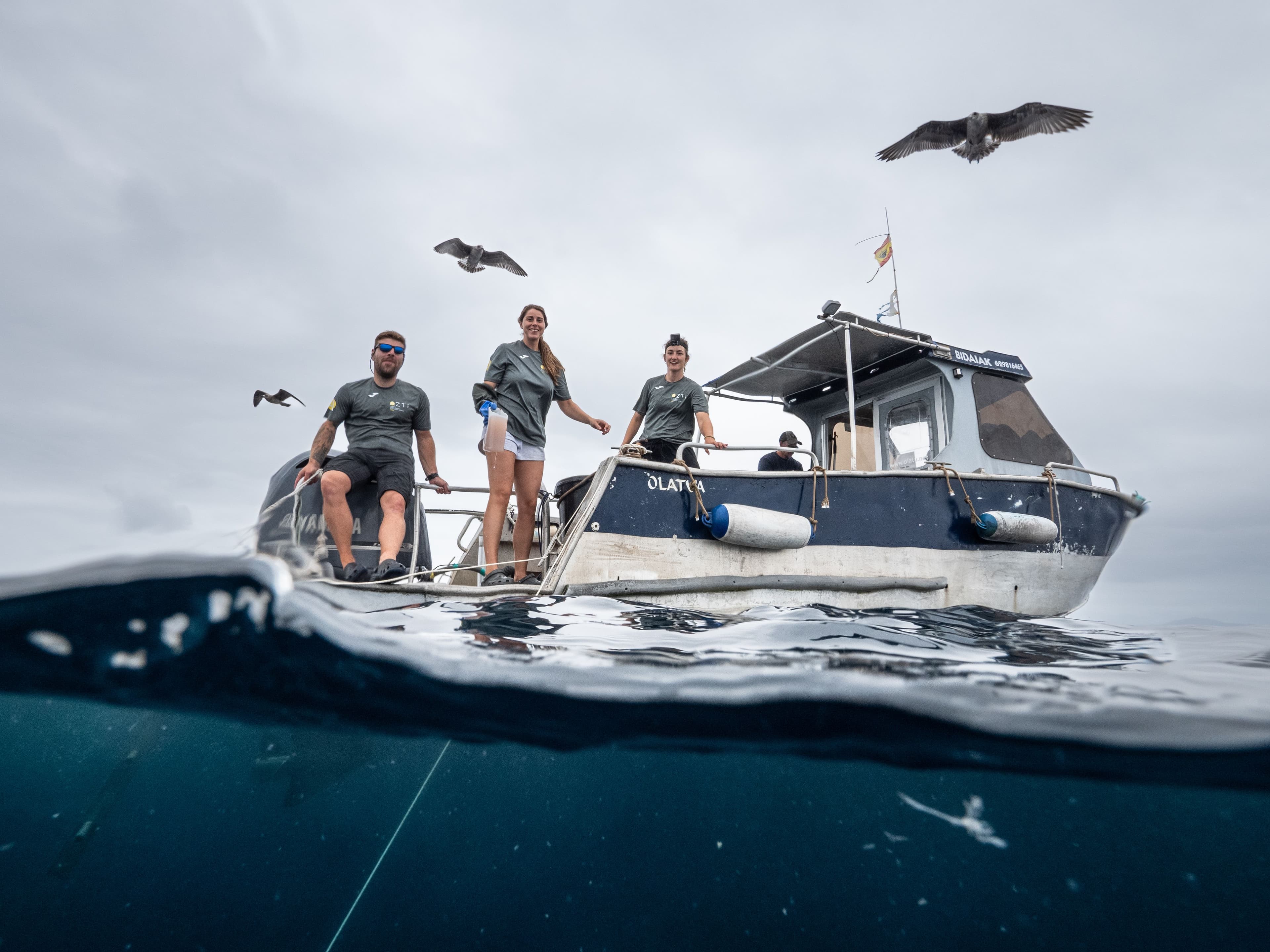 A3_The Challenges Ahead_AcousticReceiverArray_ArrayDesign_AcousticTelemetry_AcousticTag_TaggingSharks_TrackingNetwork_EuropeanTrackingNetwork_Howtodesignanacousticreceiverarray_ThelmaBiotel_AcousticReceive